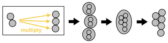 A Layman's Bridge to Mathematics - Part 9 (Figure 5)