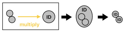 A Layman's Bridge to Mathematics - Part 9 (Figure 8)