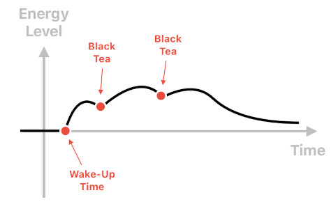 Caffeine, Sugar, and Fasting (Figure 2)