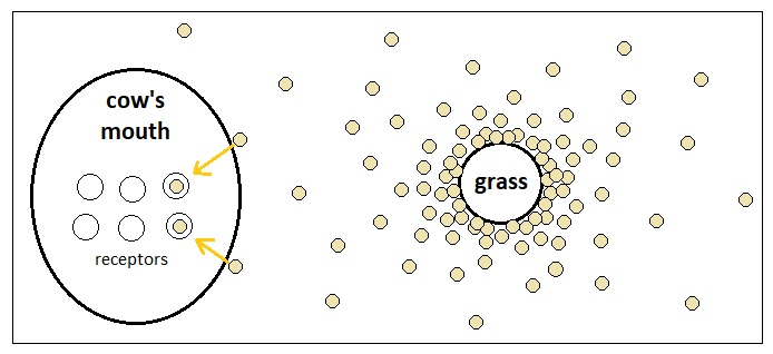 Universal Laws of Game Design - Volume 6 (Figure 6)