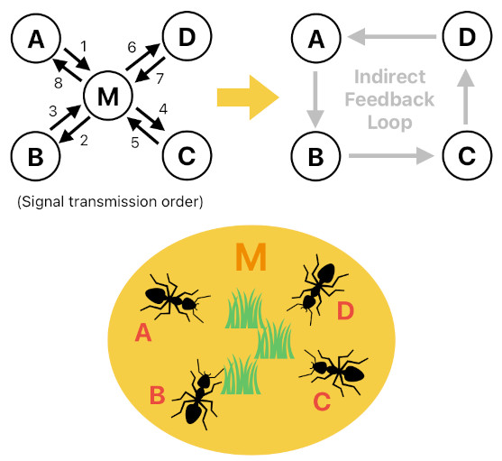 Emergent Systems based on Glenn Puchtel's Biocybernetic Theory (Figure 14)